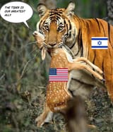 _tiger