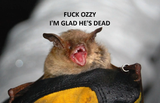BAT FUCK