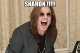 shaaaaron