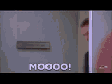 housemd-house-moo-moooo