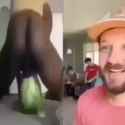 thugreaction_thumb.jpg