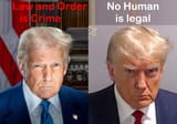 Criminal in Charge