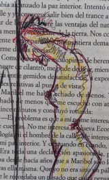 1675902026