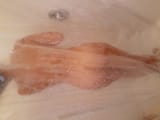 IMG-4262