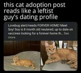 1725794055553825
