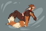 shironya-tassu-on-a-leash