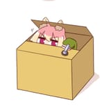 kemomimi box moneda