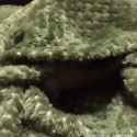 bunblankie_thumb.jpg