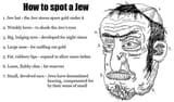600px-Important_jew_information