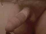 Photo-3