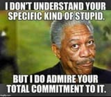Stupid