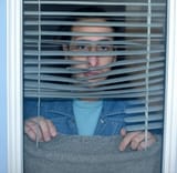 peekin-shane