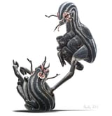 birin fight