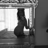 staite1