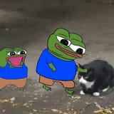 helper pepe n cat fren