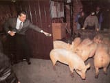 mcmahon_pushes_pig