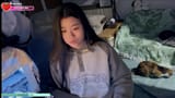 Peppercorn_p - Twitch-2025-3-19-163116.302-720p-streamshot