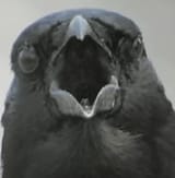 asd