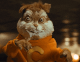 alvin-rabies