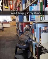 Bnuylibrary