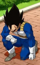 vegeta i kneel