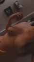 VID_20250724_085010_190_thumb.jpg