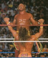 Hogan was gay