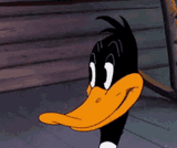 SaucyDaffy