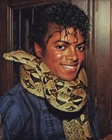 music nigger pedo michael jackson snake fag &#039;88