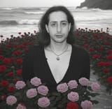rosegarden-shane