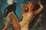 wolf2