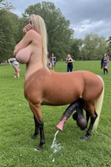 centaur 16
