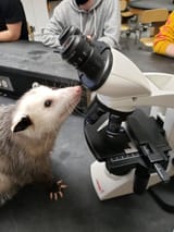 science yes