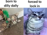 e0v7yjiu0q4d1