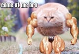80999678
