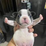 STOP FIGHTING!!!