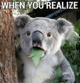 REALIZED