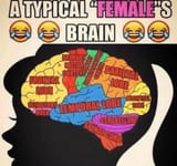 1662768195615269
