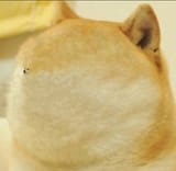 Thread 937580884 OP Image