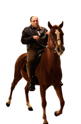 sopranos horse-Photoroom