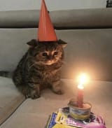 1725013775777550