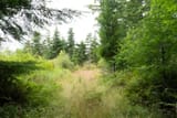 20250719-DSC00146
