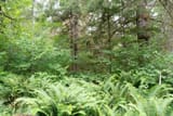 20250719-DSC00157