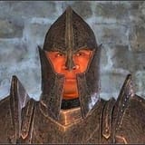oblivion-guard