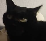 1753345410437488s