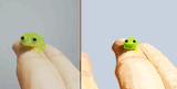 Fren
