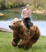 putbear