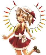 FLANDRE CHILIES