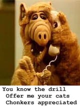 You know the drill
