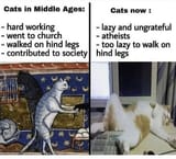 cats then